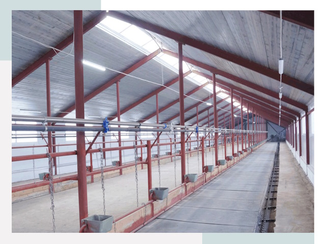 Строительство коровников в Шадринске от 620 руб.