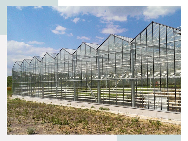 Строительство теплиц в Шадринск от 620 руб. за м²