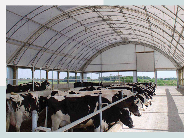 Тентовые коровники в Шадринске